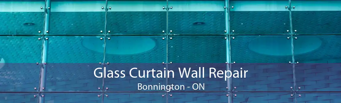 Glass Curtain Wall Repair Bonnington - ON