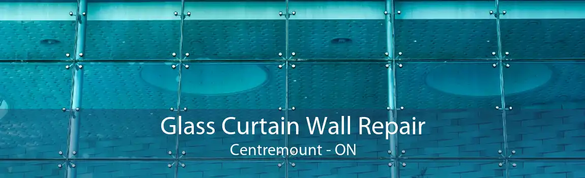 Glass Curtain Wall Repair Centremount - ON