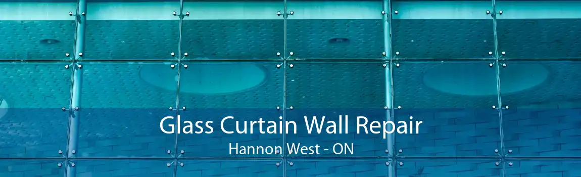 Glass Curtain Wall Repair Hannon West - ON