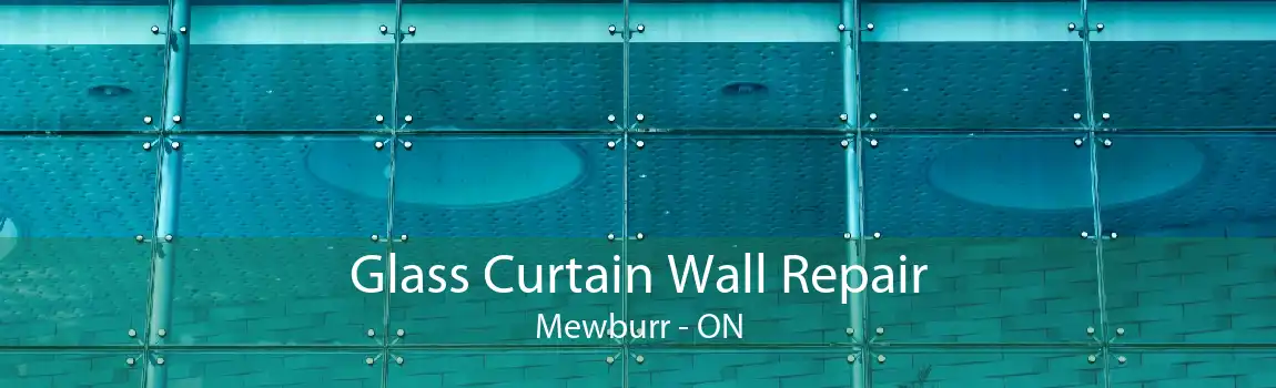 Glass Curtain Wall Repair Mewburr - ON