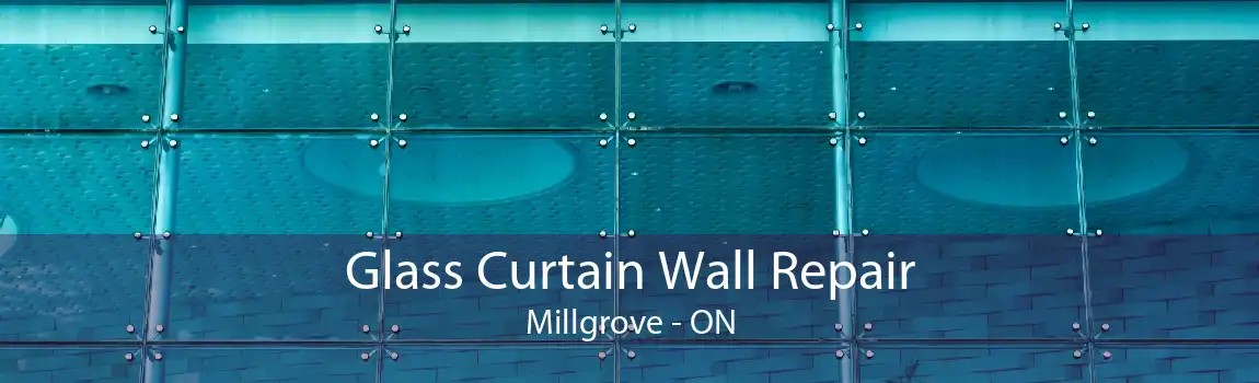 Glass Curtain Wall Repair Millgrove - ON