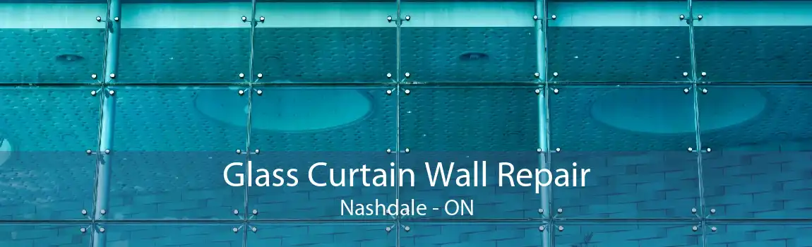 Glass Curtain Wall Repair Nashdale - ON