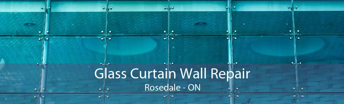 Glass Curtain Wall Repair Rosedale - ON