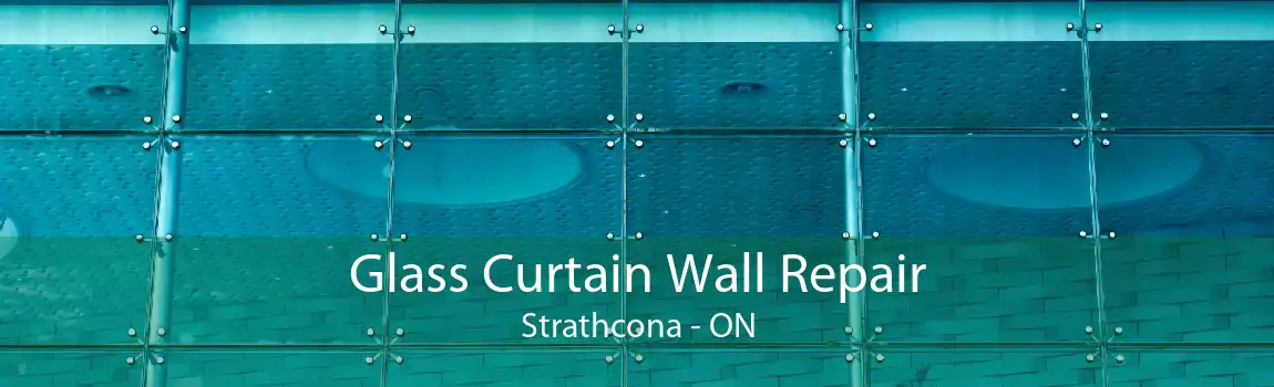 Glass Curtain Wall Repair Strathcona - ON
