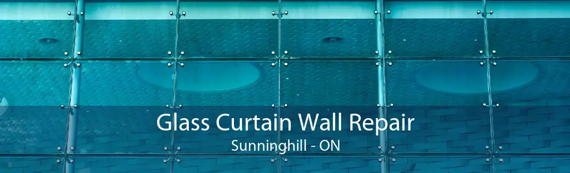 Glass Curtain Wall Repair Sunninghill - ON