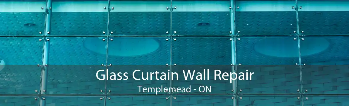 Glass Curtain Wall Repair Templemead - ON