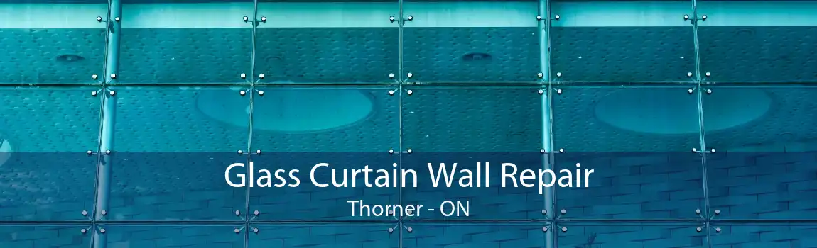 Glass Curtain Wall Repair Thorner - ON