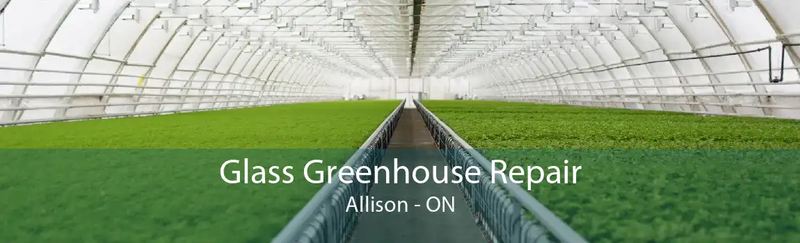 Glass Greenhouse Repair Allison - ON