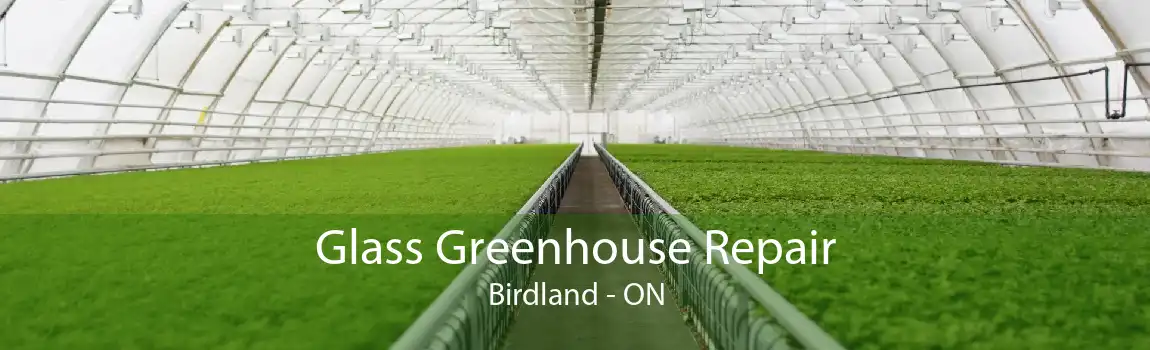 Glass Greenhouse Repair Birdland - ON