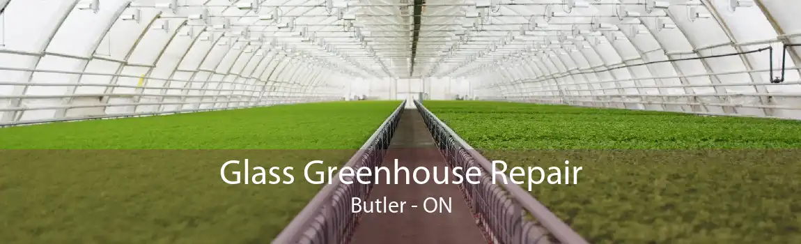 Glass Greenhouse Repair Butler - ON