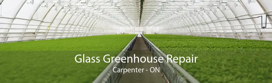 Glass Greenhouse Repair Carpenter - ON