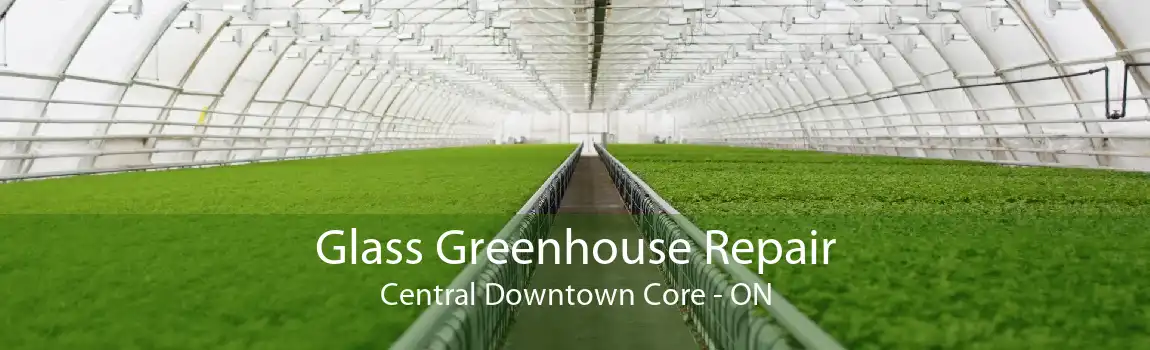 Glass Greenhouse Repair Central Downtown Core - ON