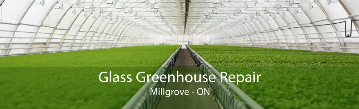 Glass Greenhouse Repair Millgrove - ON