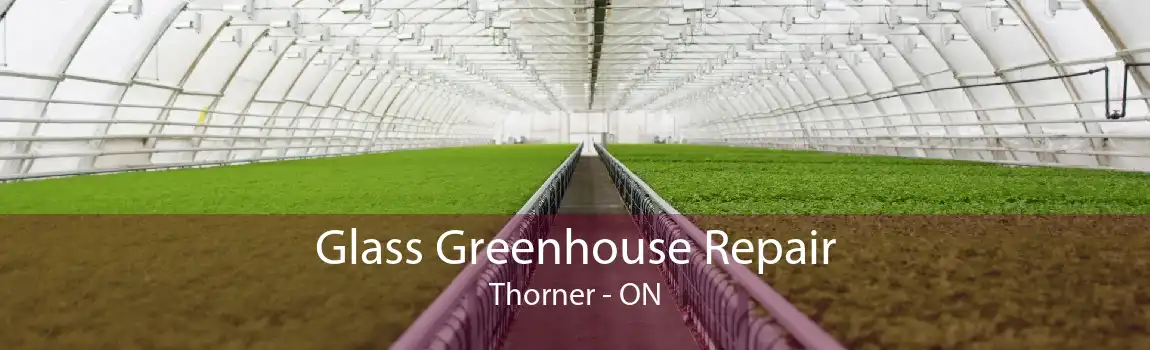 Glass Greenhouse Repair Thorner - ON