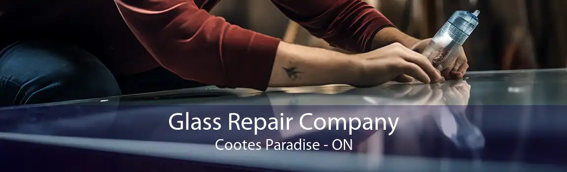 Glass Repair Company Cootes Paradise - ON