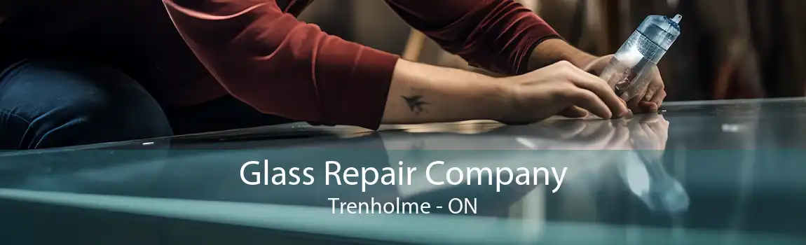 Glass Repair Company Trenholme - ON