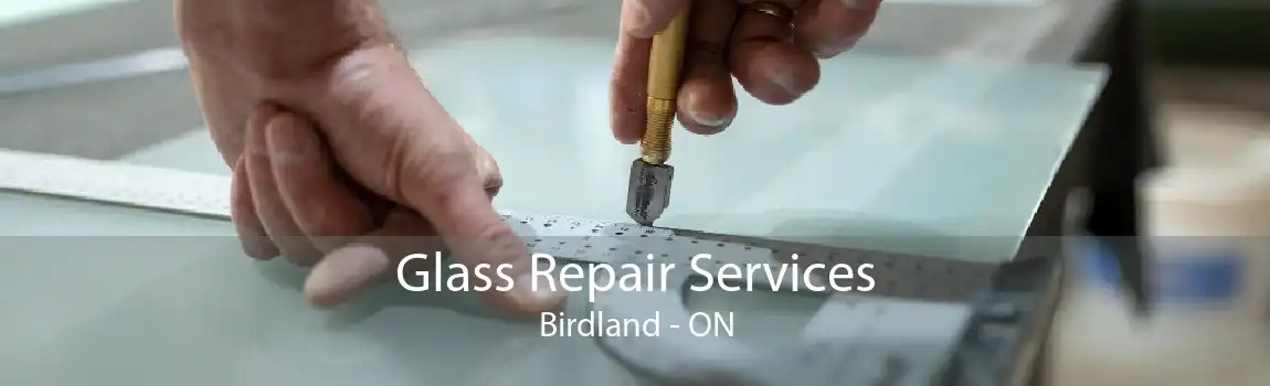 Glass Repair Services Birdland - ON
