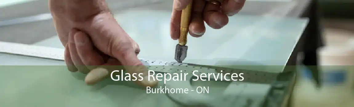 Glass Repair Services Burkhome - ON