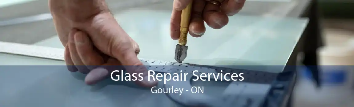 Glass Repair Services Gourley - ON