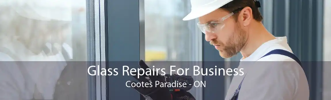 Glass Repairs For Business Cootes Paradise - ON