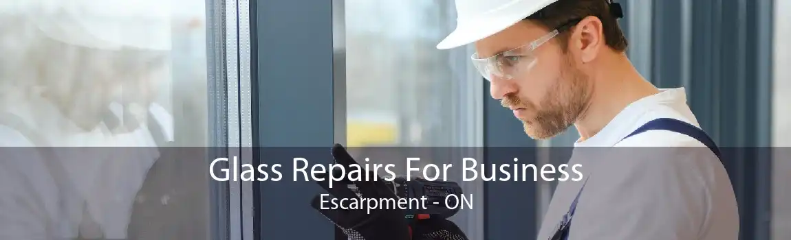 Glass Repairs For Business Escarpment - ON