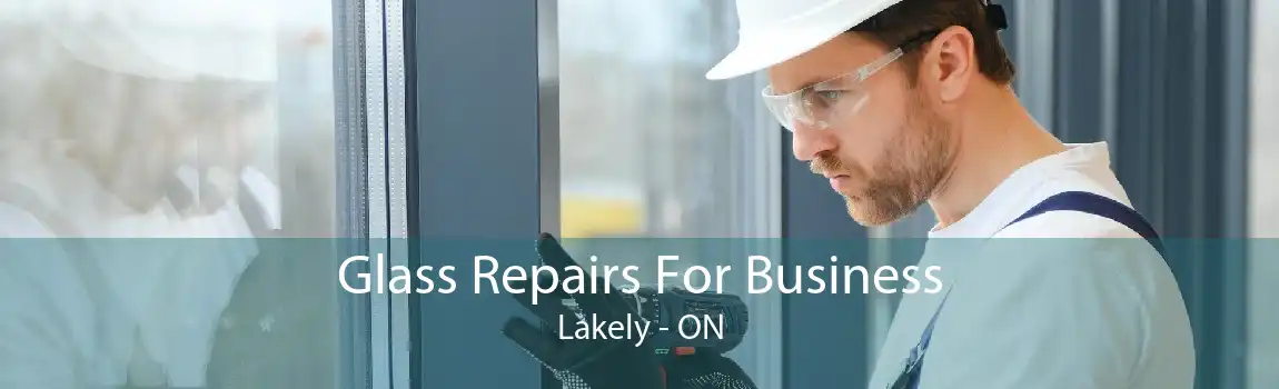 Glass Repairs For Business Lakely - ON