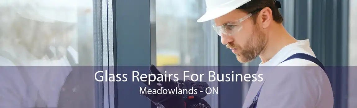 Glass Repairs For Business Meadowlands - ON