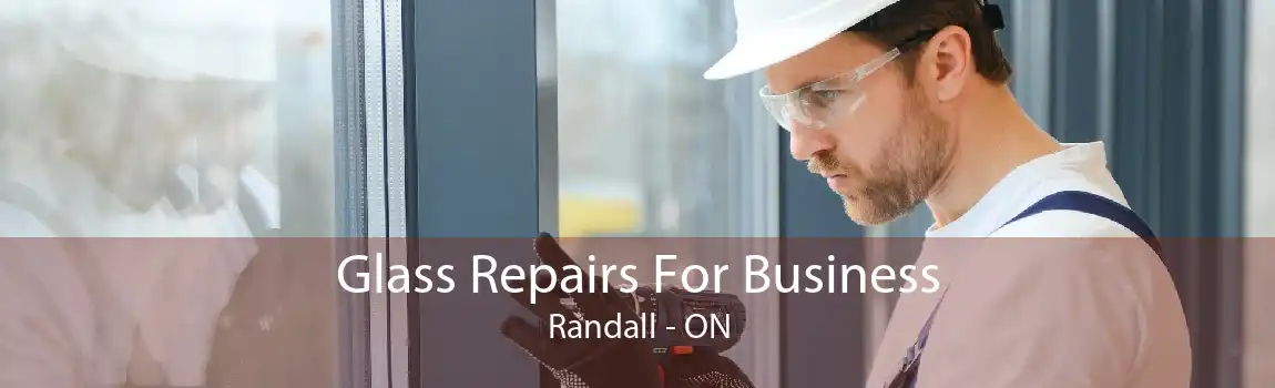 Glass Repairs For Business Randall - ON