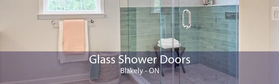 Glass Shower Doors Blakely - ON