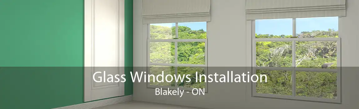 Glass Windows Installation Blakely - ON