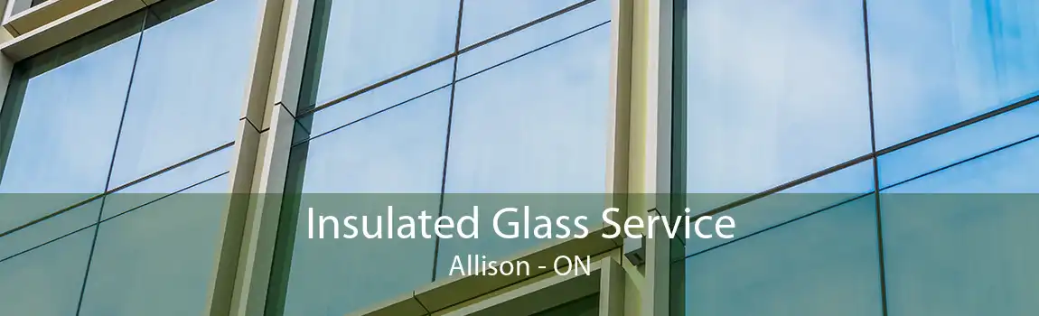 Insulated Glass Service Allison - ON
