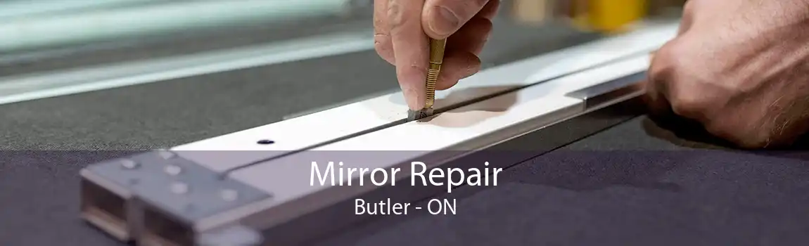 Mirror Repair Butler - ON
