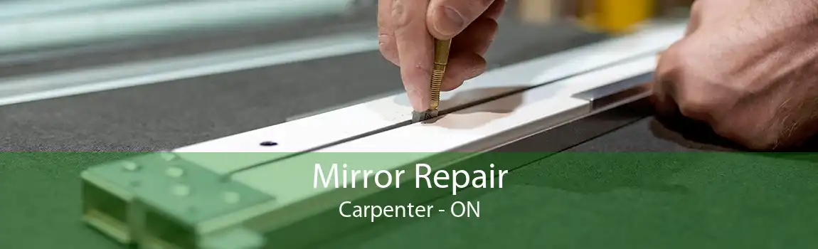 Mirror Repair Carpenter - ON