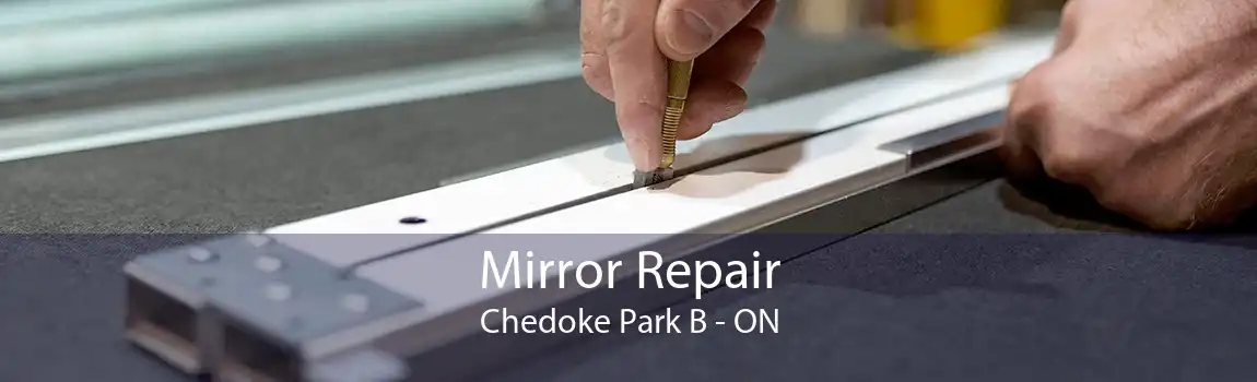 Mirror Repair Chedoke Park B - ON