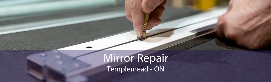 Mirror Repair Templemead - ON