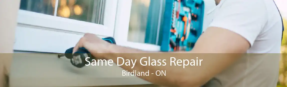Same Day Glass Repair Birdland - ON