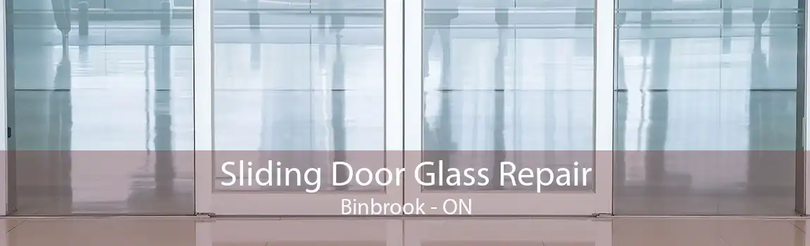 Sliding Door Glass Repair Binbrook - ON