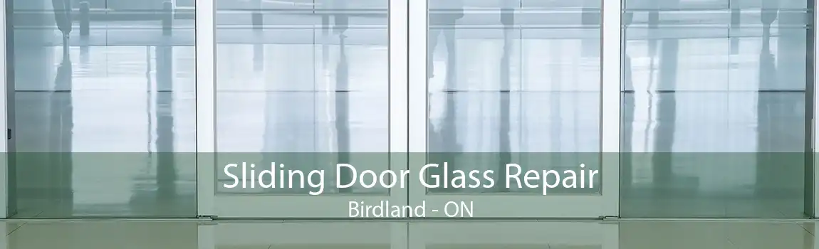 Sliding Door Glass Repair Birdland - ON