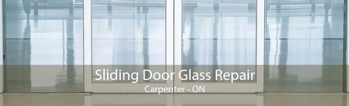 Sliding Door Glass Repair Carpenter - ON