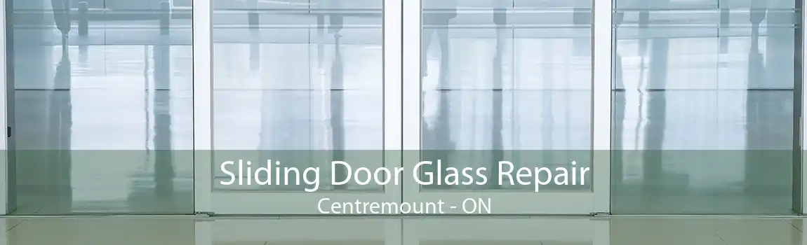Sliding Door Glass Repair Centremount - ON
