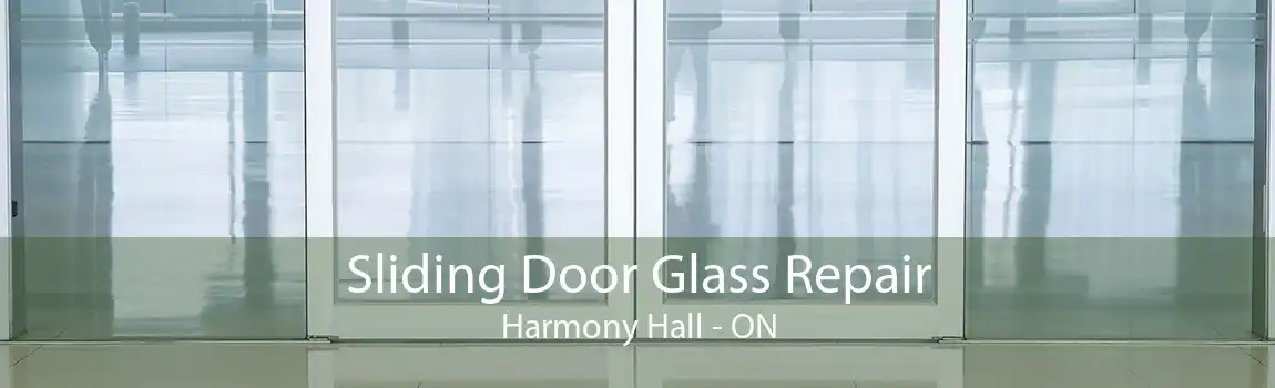 Sliding Door Glass Repair Harmony Hall - ON