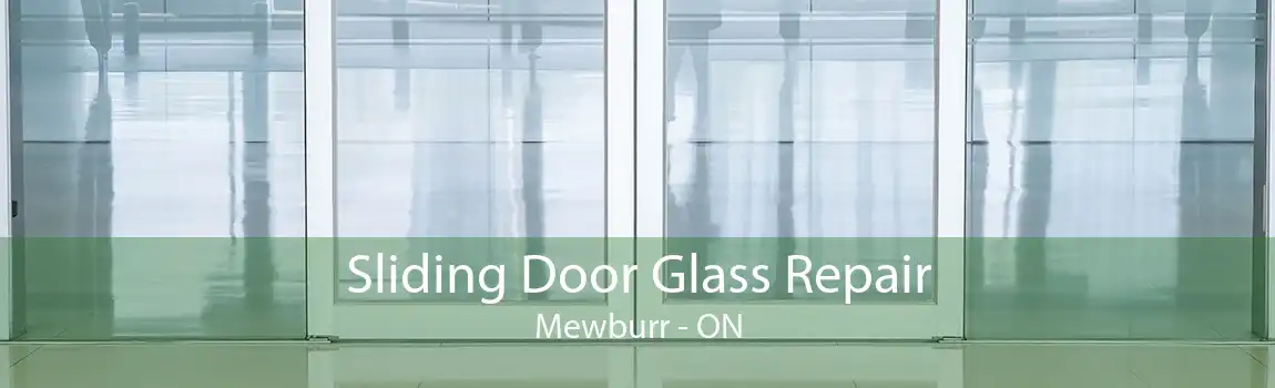 Sliding Door Glass Repair Mewburr - ON