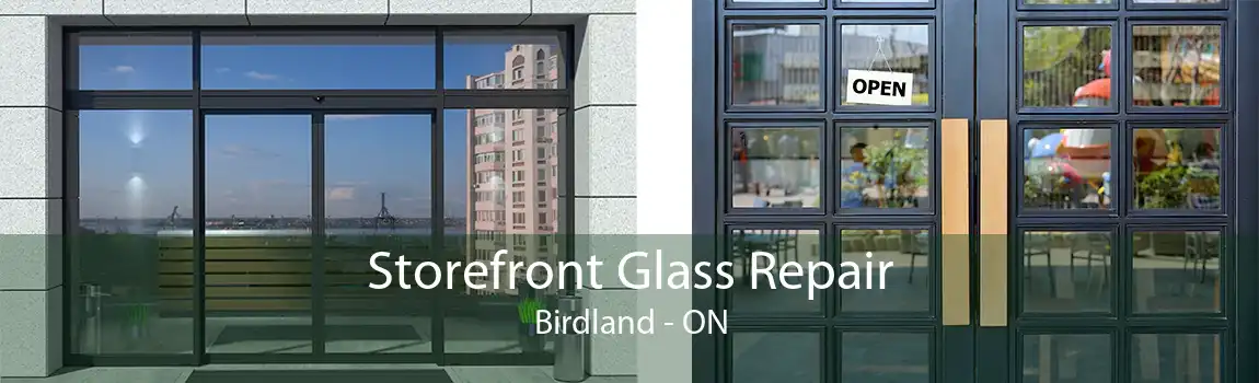 Storefront Glass Repair Birdland - ON