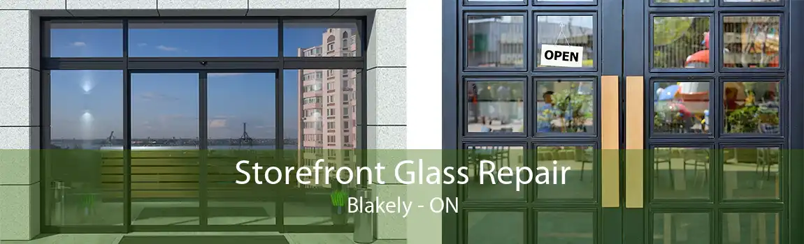 Storefront Glass Repair Blakely - ON