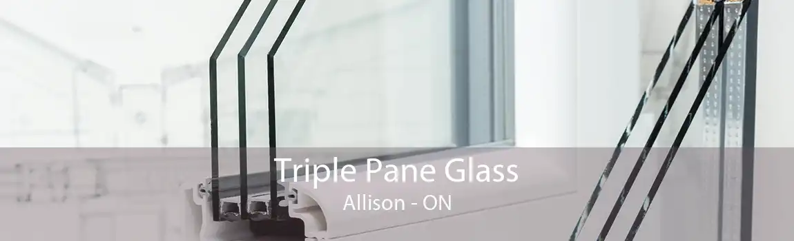 Triple Pane Glass Allison - ON