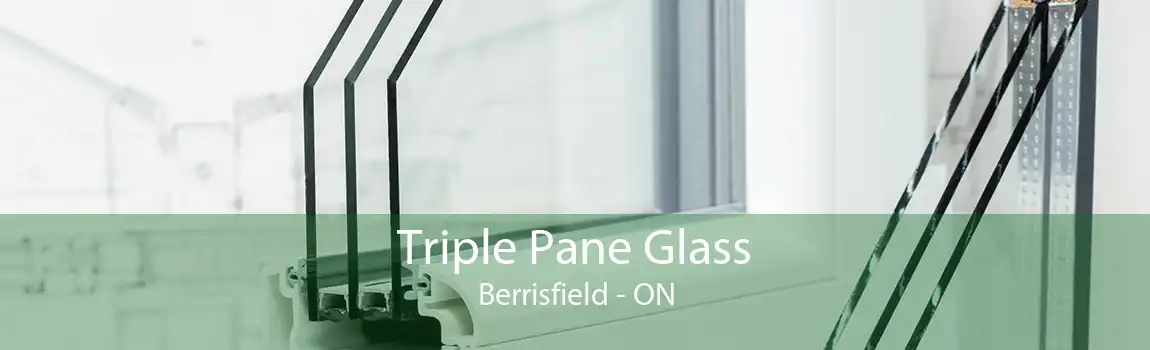 Triple Pane Glass Berrisfield - ON