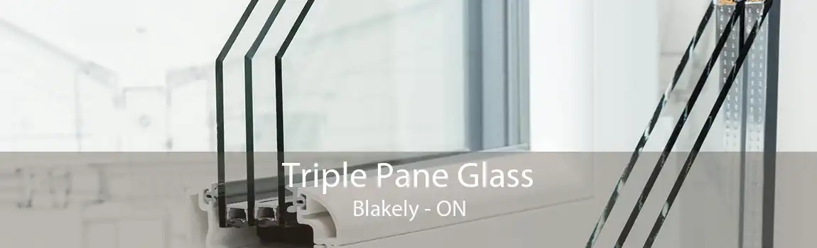 Triple Pane Glass Blakely - ON