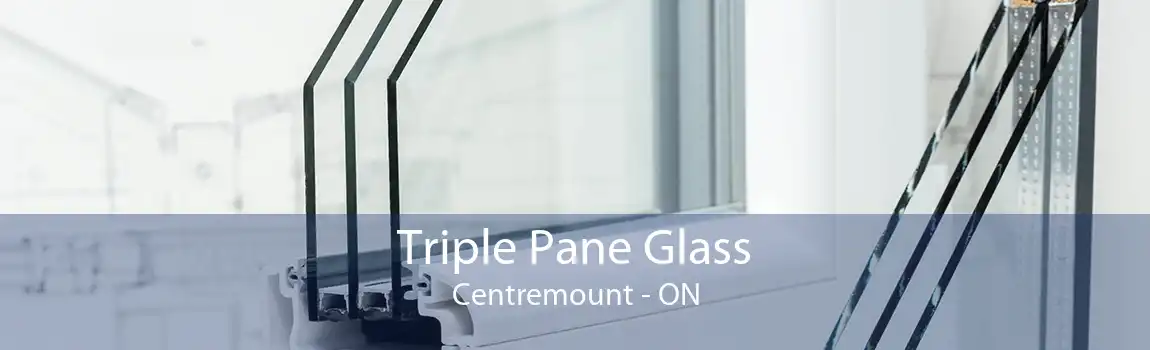 Triple Pane Glass Centremount - ON