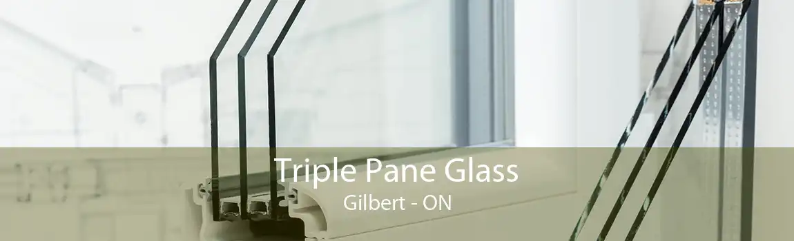 Triple Pane Glass Gilbert - ON