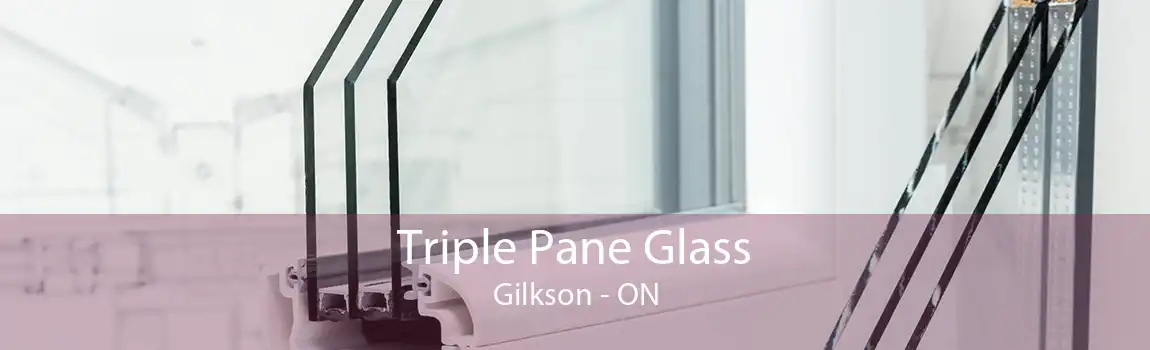 Triple Pane Glass Gilkson - ON